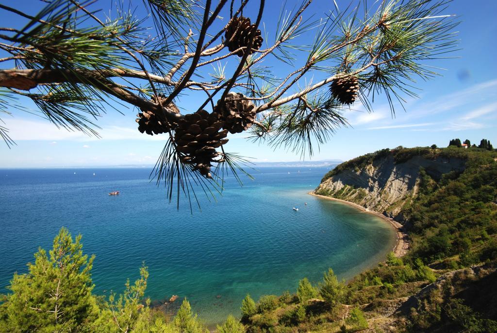 Roma Daire Portorož Dış mekan fotoğraf